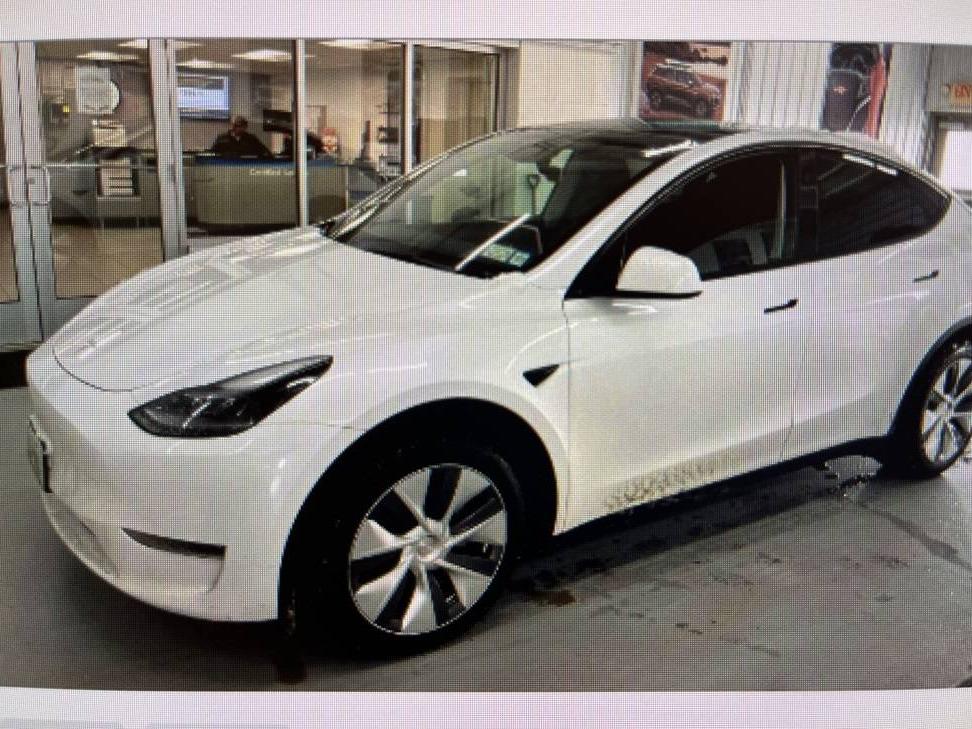 TESLA MODEL Y 2024 7SAYGDEE6RA259729 image